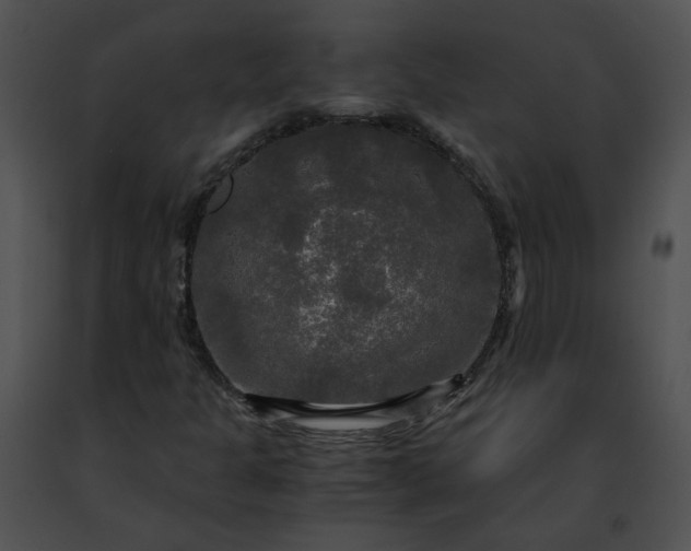 X0000091481301200708301905