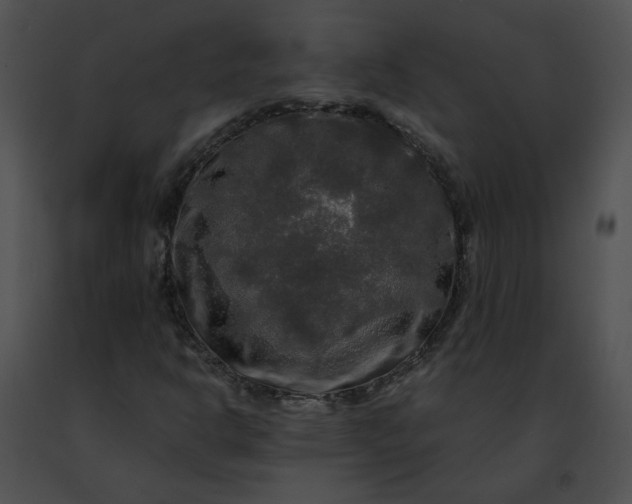 X0000091481302200708301905