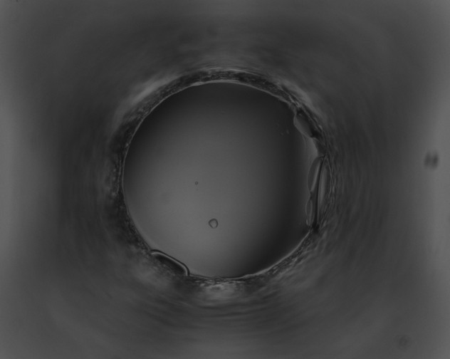 X0000091481303200708301905