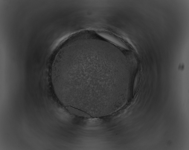 X0000091481304200708301905