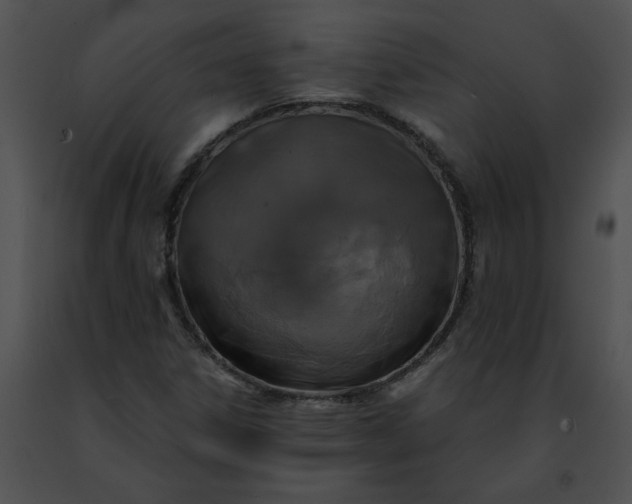 X0000091481306200708301905