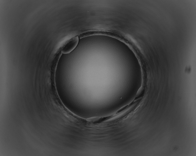 X0000091481307200708301905