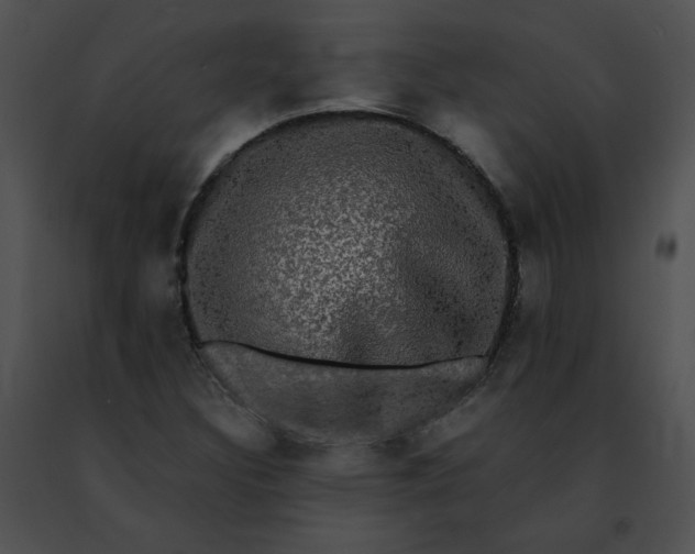 X0000091481308200708301905