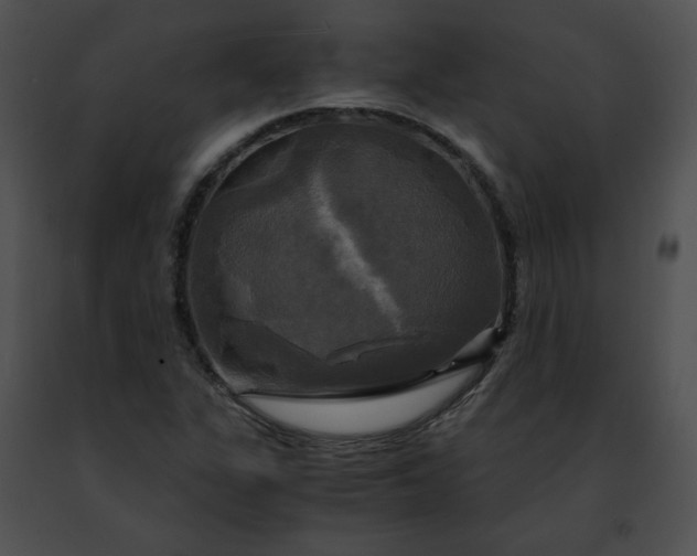 X0000091481311200708301905