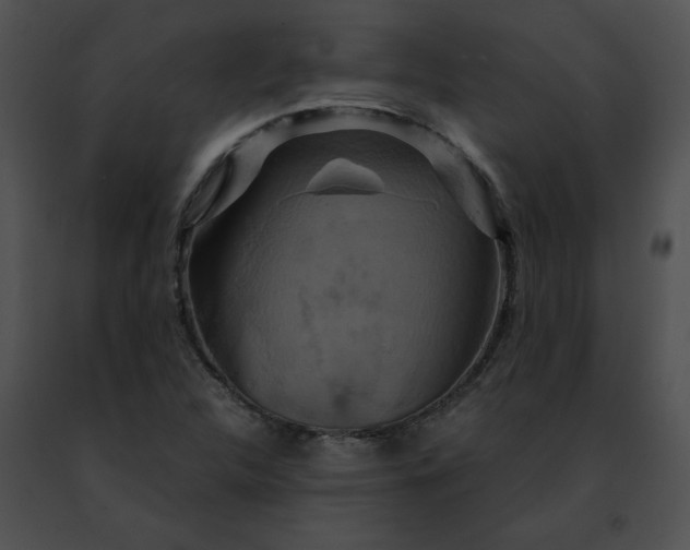 X0000091481312200708301905