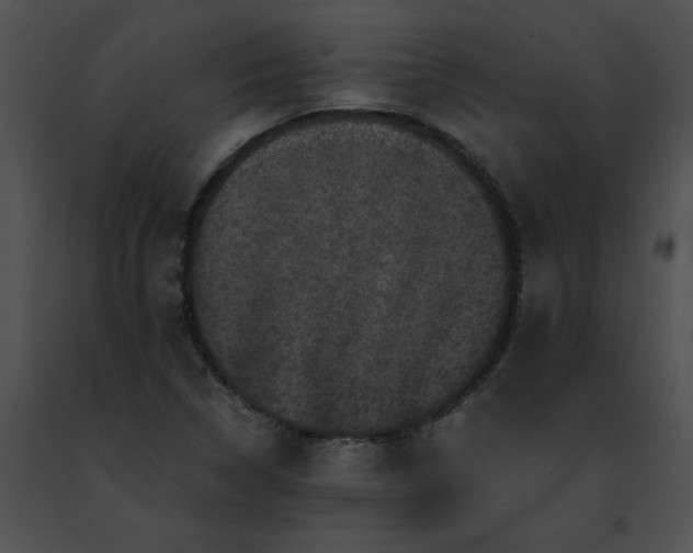 X0000091481314200708301906