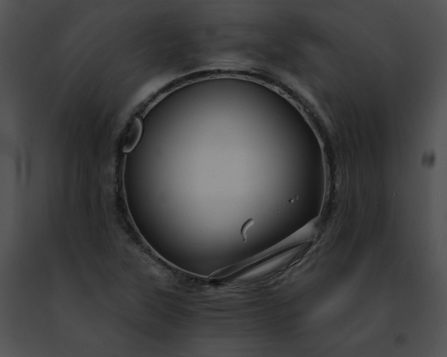 X0000091481315200708301906