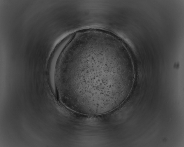 X0000091481316200708301906