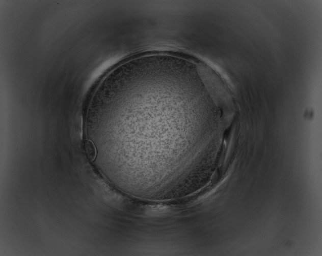 X0000091481317200708301906