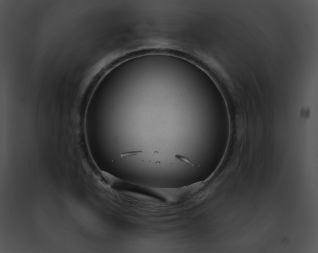 X0000091481318200708301906