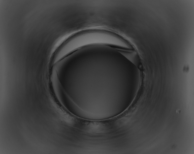 X0000091481319200708301906