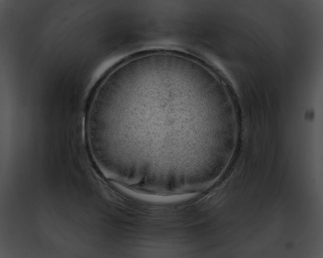 X0000091481320200708301906