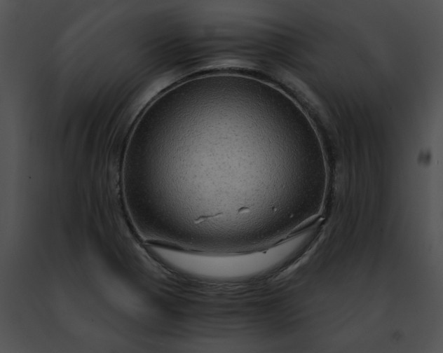 X0000091481321200708301906