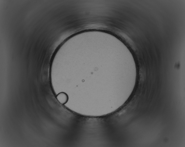 X0000091481322200708301906