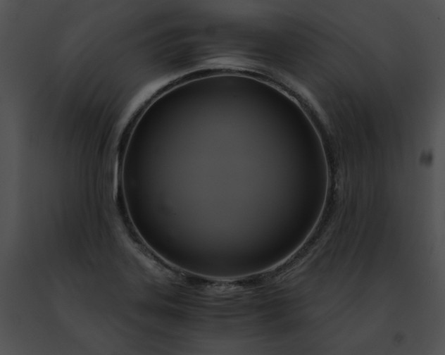 X0000091481323200708301906