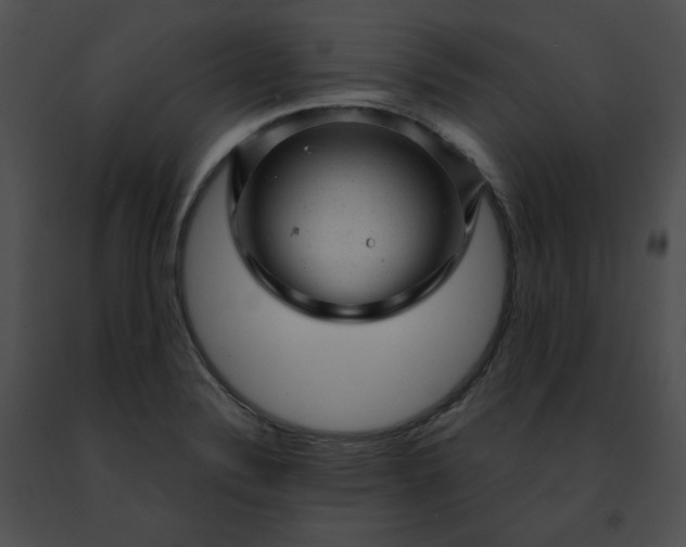 X0000091481324200708301906