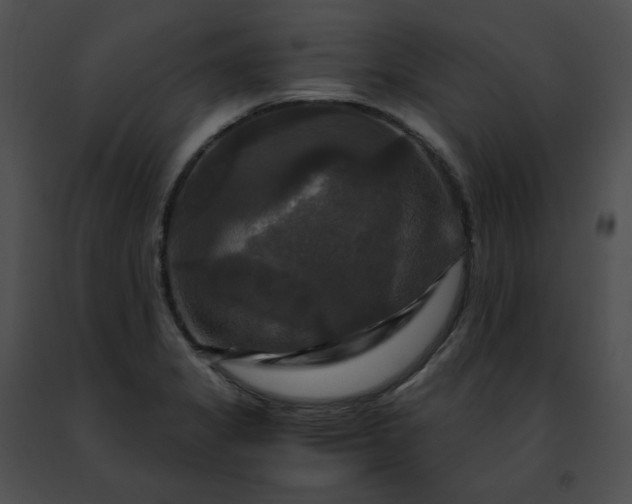 X0000091481325200708301906