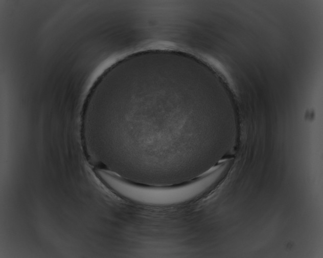 X0000091481326200708301906