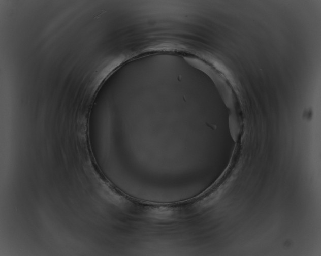 X0000091481329200708301906