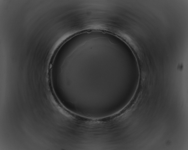 X0000091481331200708301906