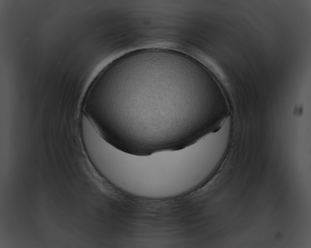 X0000091481332200708301906