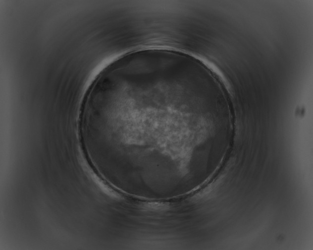 X0000091481333200708301906