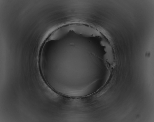 X0000091481334200708301906