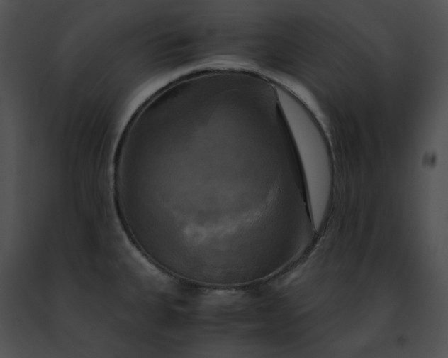 X0000091481335200708301906