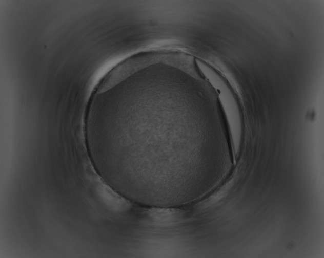 X0000091481336200708301906