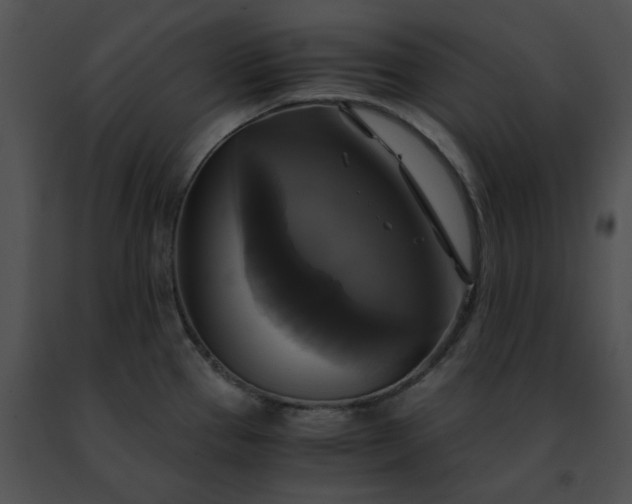 X0000091481337200708301906