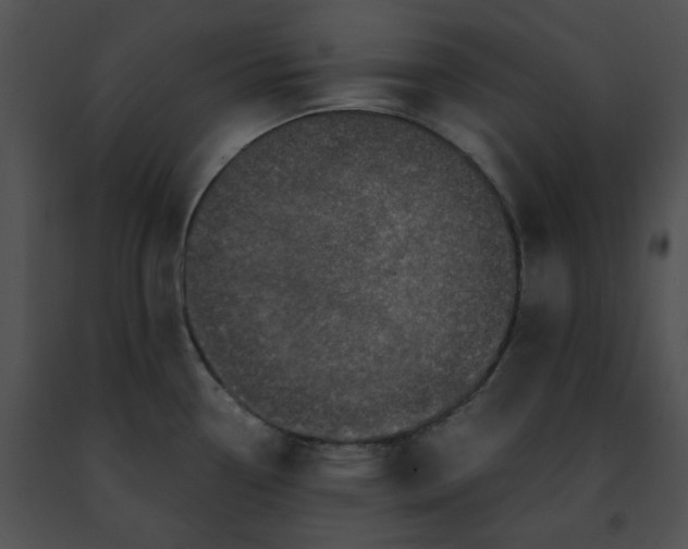 X0000091481338200708301906