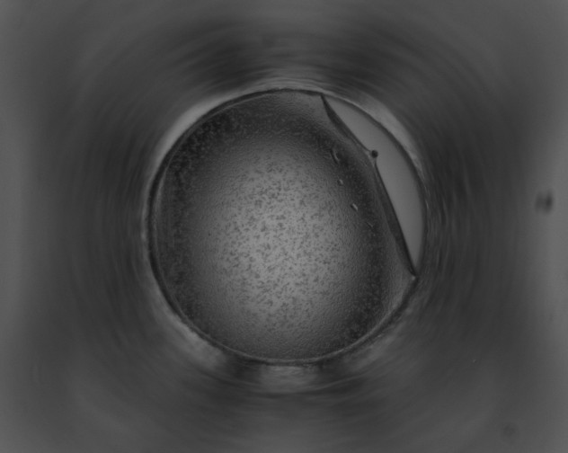 X0000091481339200708301906