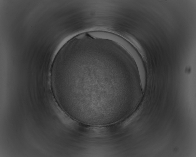 X0000091481340200708301906