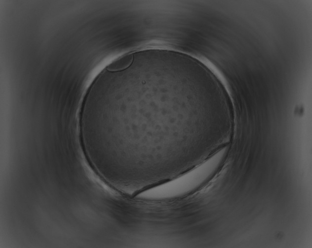 X0000091481341200708301906