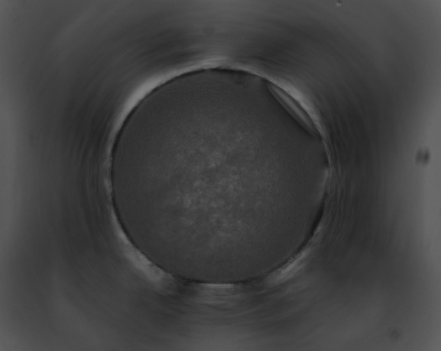 X0000091481342200708301906