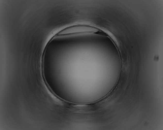 X0000091481343200708301906