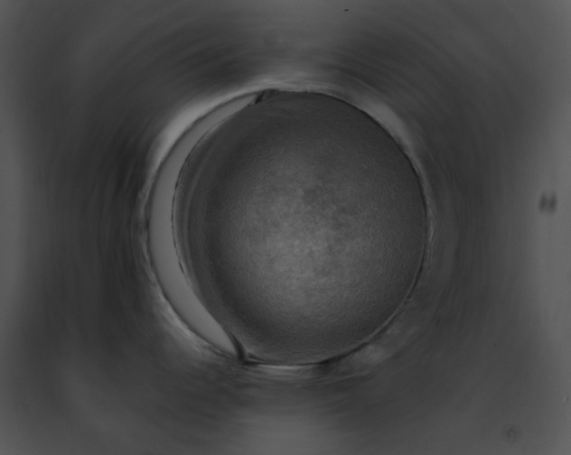 X0000091481344200708301906