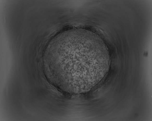 X0000091481345200708301905