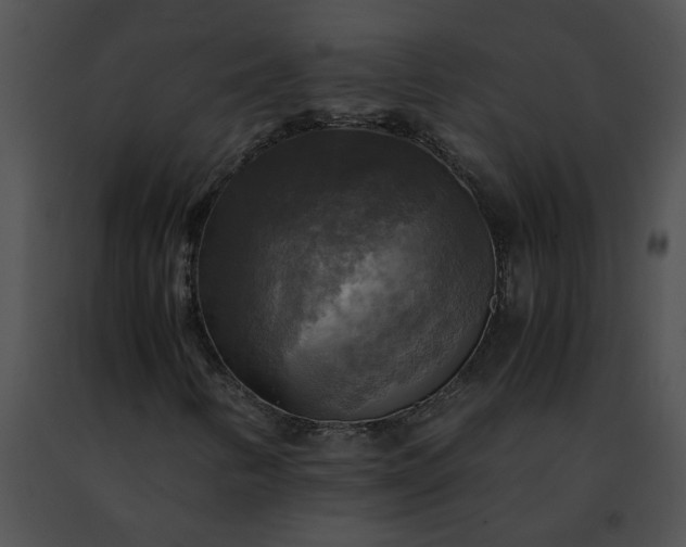 X0000091481346200708301905