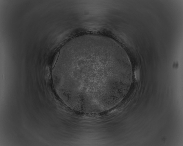 X0000091481347200708301905