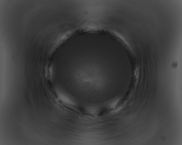 X0000091481348200708301905