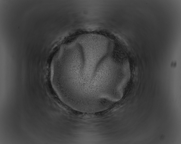 X0000091481349200708301905