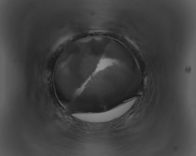 X0000091481351200708301905