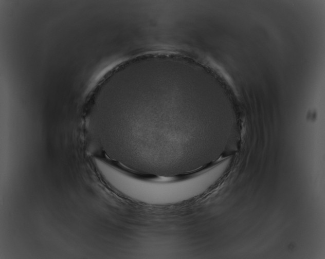 X0000091481352200708301905