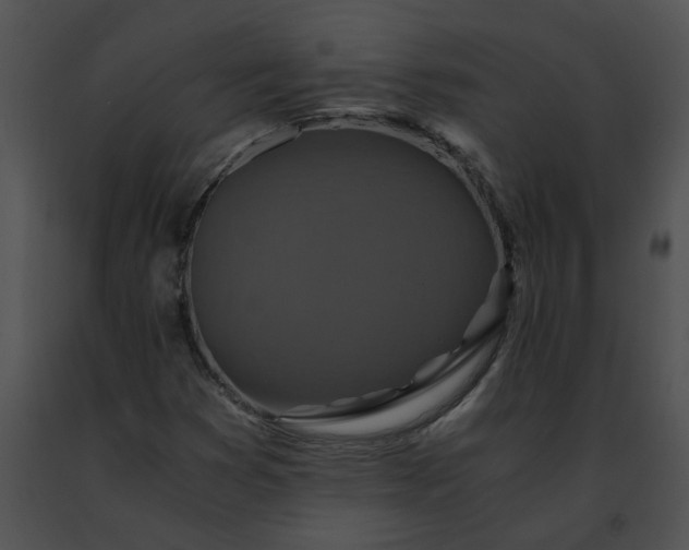 X0000091481353200708301905