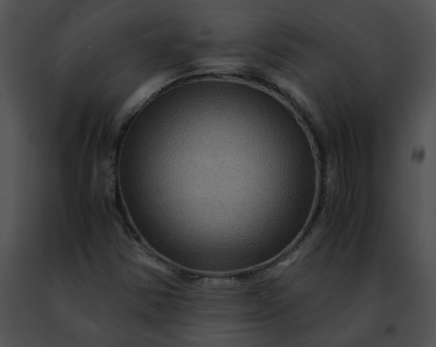 X0000091481354200708301905