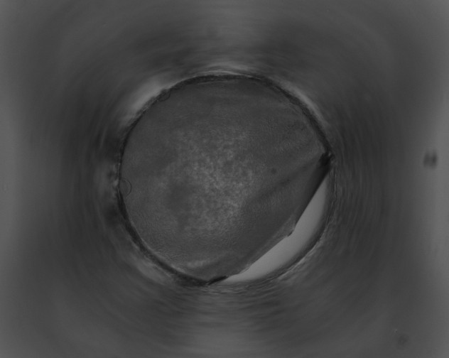 X0000091481355200708301905