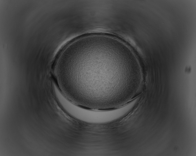 X0000091481356200708301905