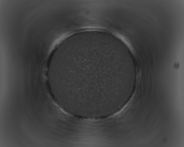 X0000091481357200708301905