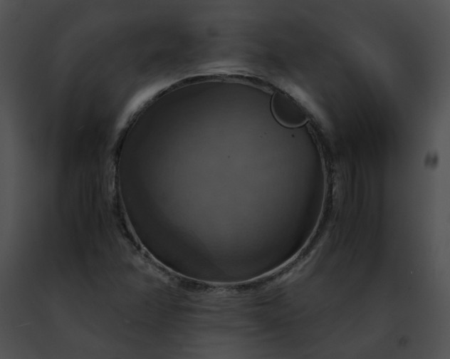 X0000091481358200708301905